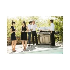 Napoleon Prestige PRO 665 Gasgrill -OFYR butik napoleon prestige pro 665 5 braendere gasgrill 8