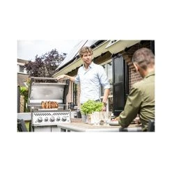 Napoleon Rogue 425 SE - RSE425RSIBPPS-1 -OFYR butik napoleon rouge se 425 rse425rsibpps 1 5