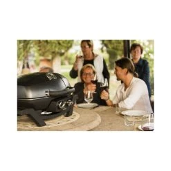 Napoleon TravelQ PRO285 Gasgrill -OFYR butik napoleon travelq pro285 gasgrill 10